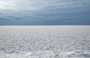 Vshutterstock_22726534